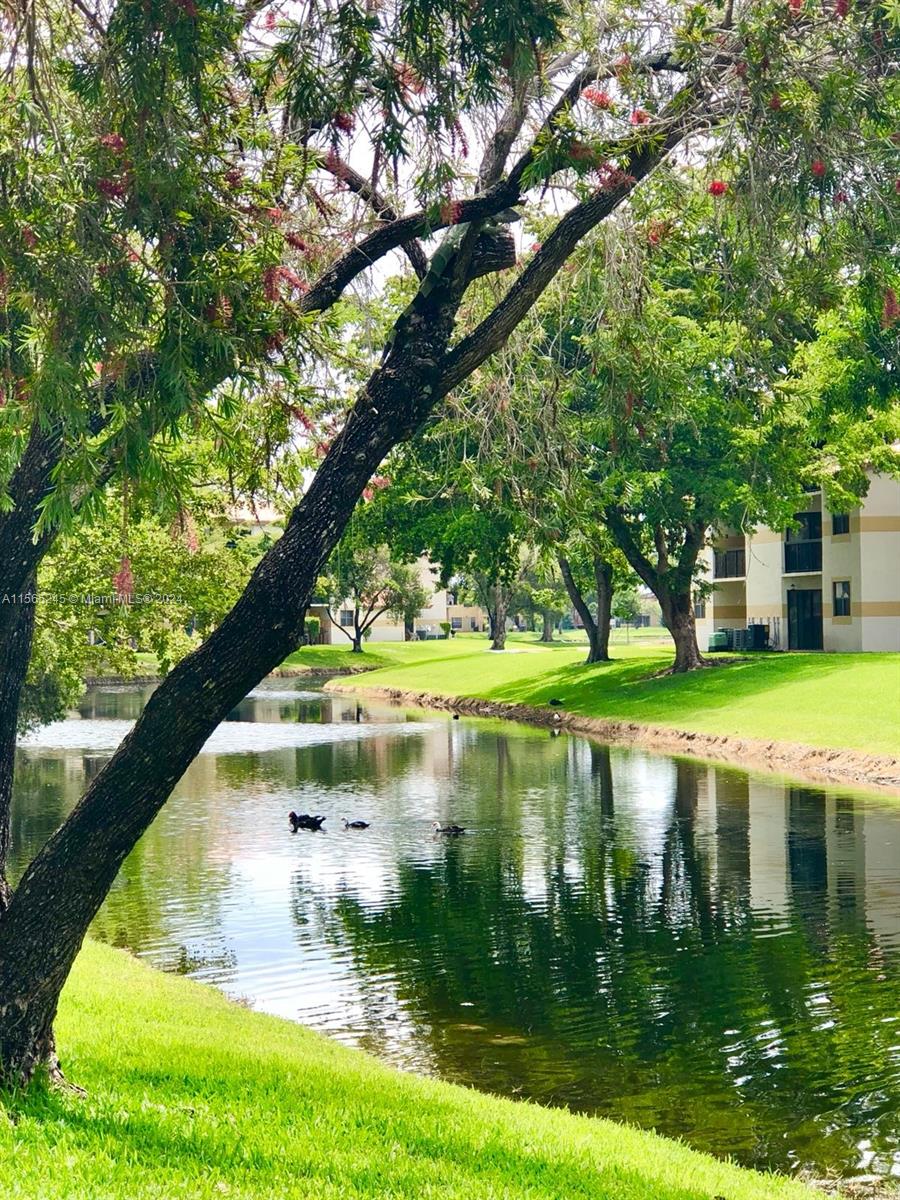 9897 Nob Hill Ln # 9897