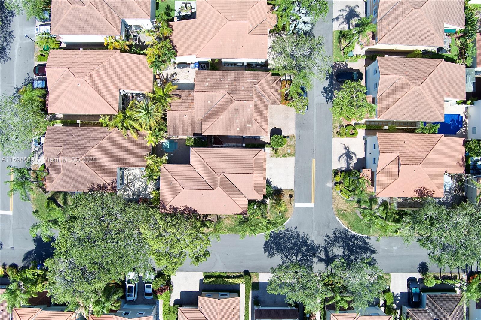 1145 Oysterwood # 0
