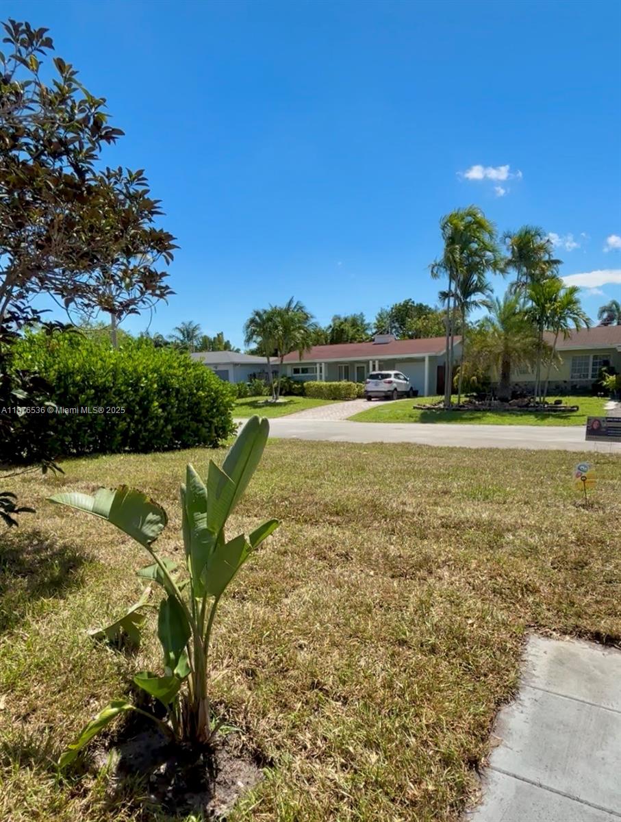 81 NE 47th Ct