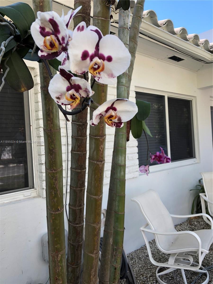 1160 SW 22nd terrace # 2