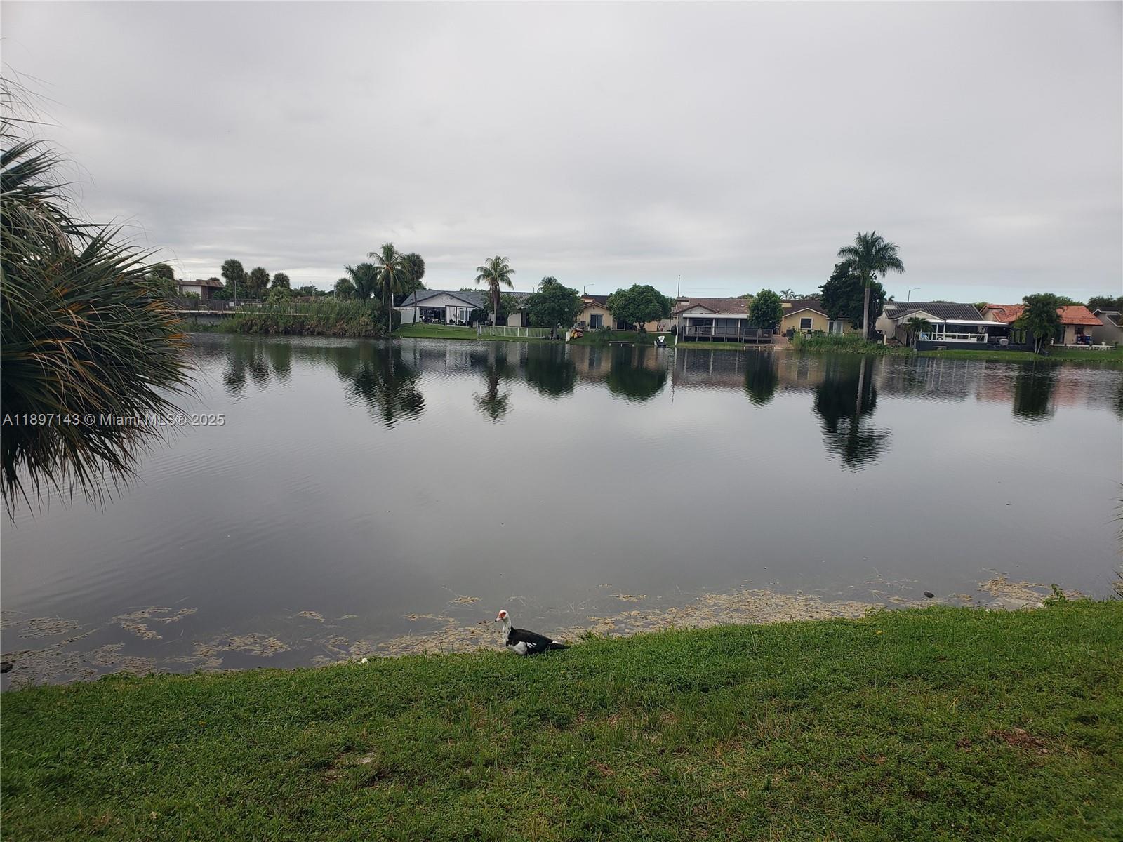 6960 NW 173rd Dr # 701