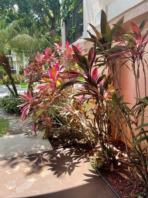 10125 W Sunrise Blvd # 104