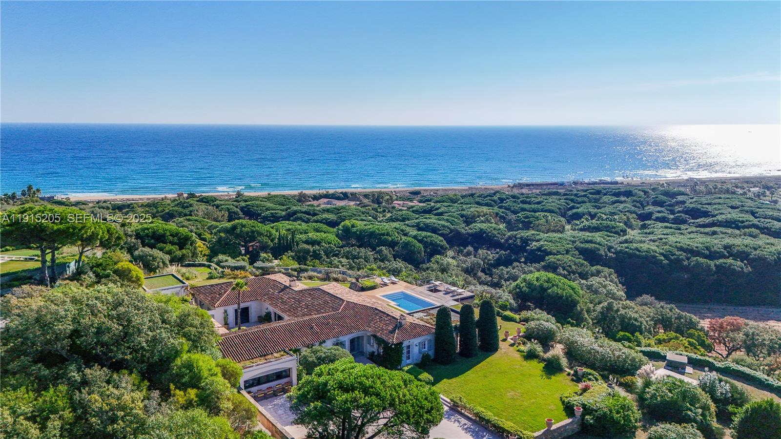 Allee Des Palmiers La belle