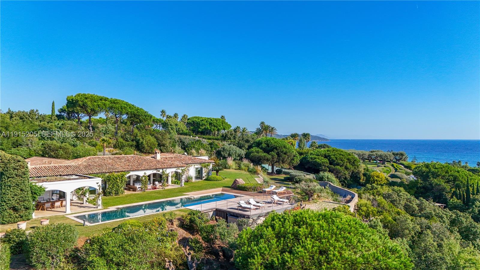 Allee Des Palmiers La belle