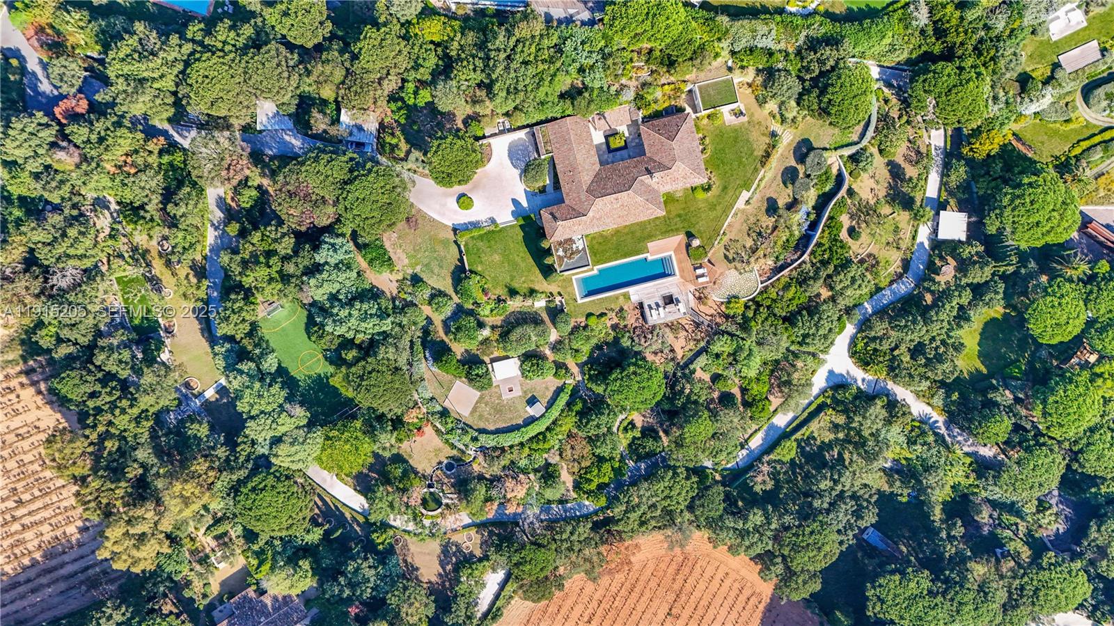 Allee Des Palmiers La belle