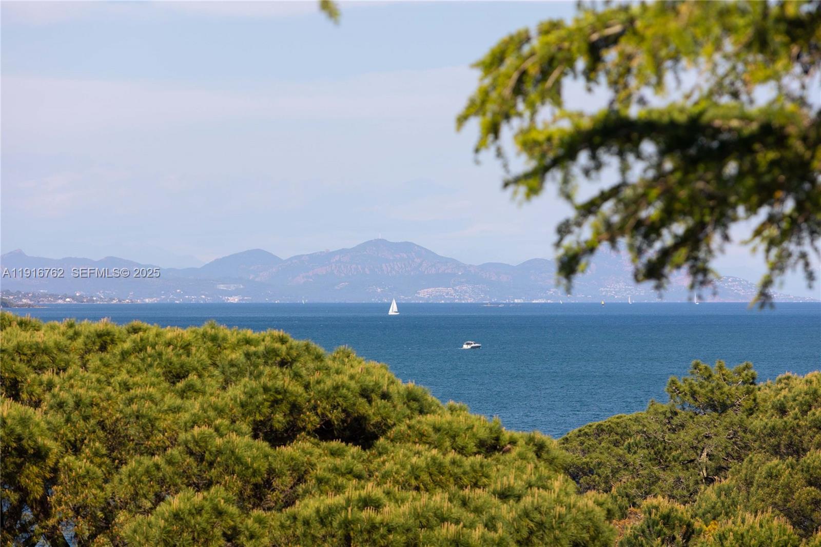 Sinopolis Les Hirondelles