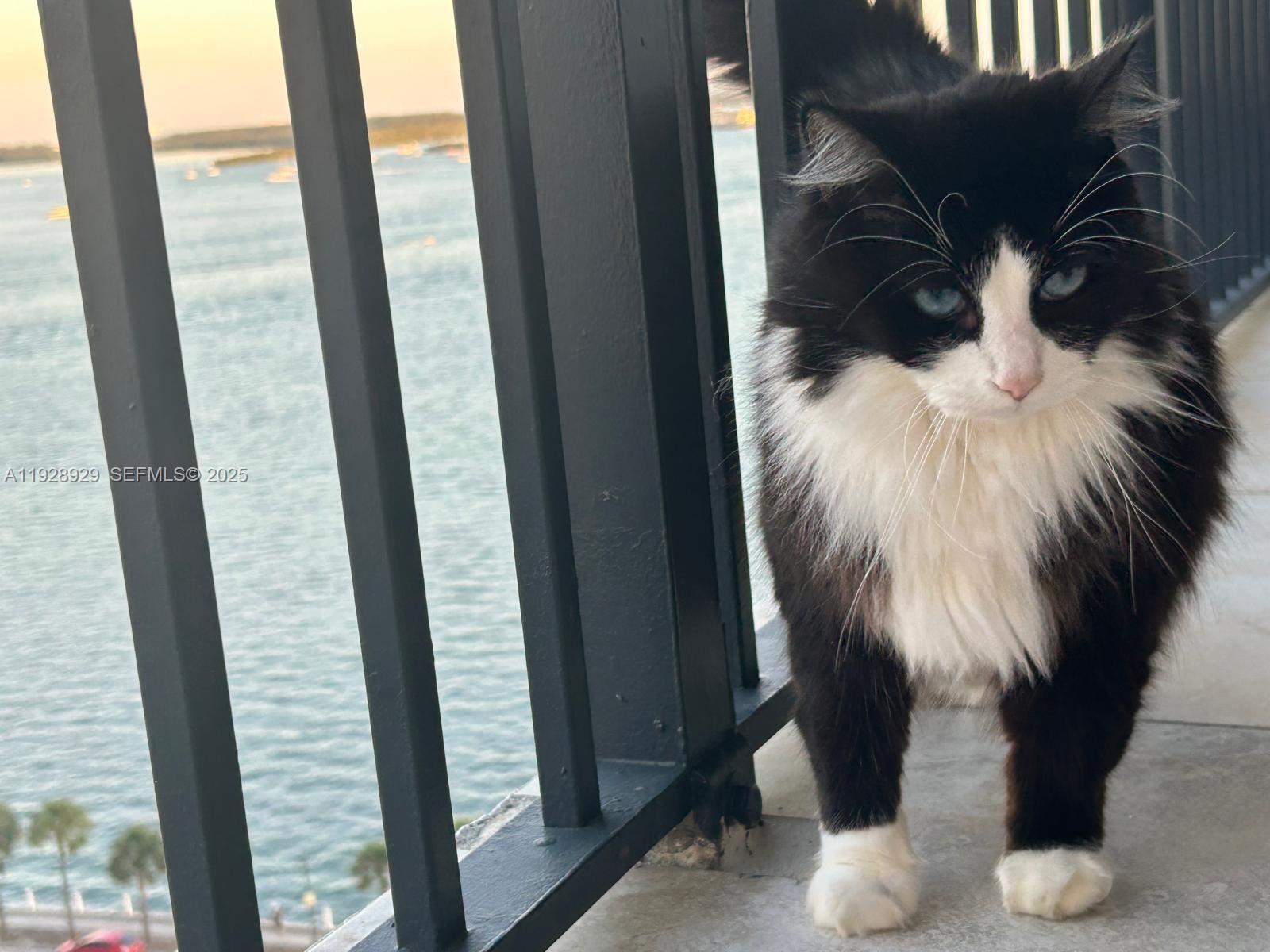 1450 Brickell Bay Dr # 1706