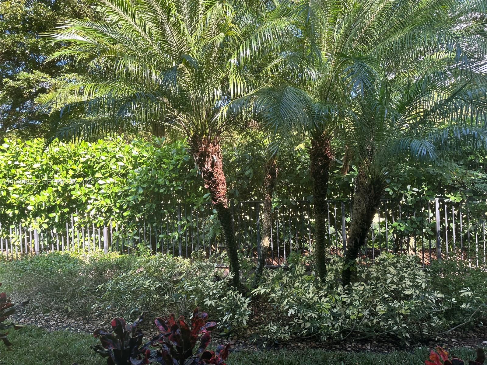 8205 Boulder Mountain Ter