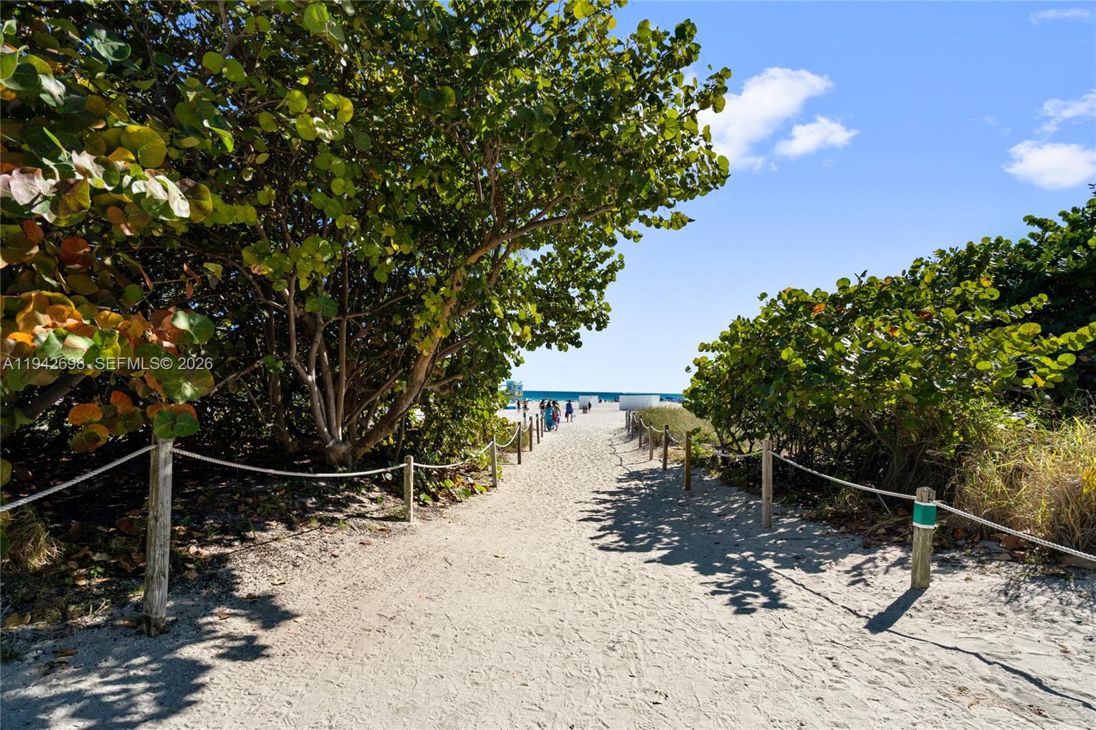 1455 Ocean Dr # 1009