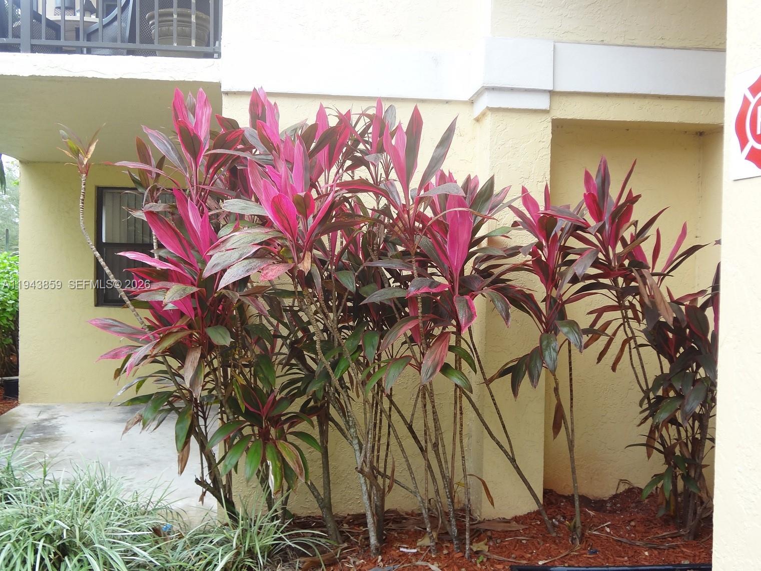 10125 W Sunrise Blvd # 104