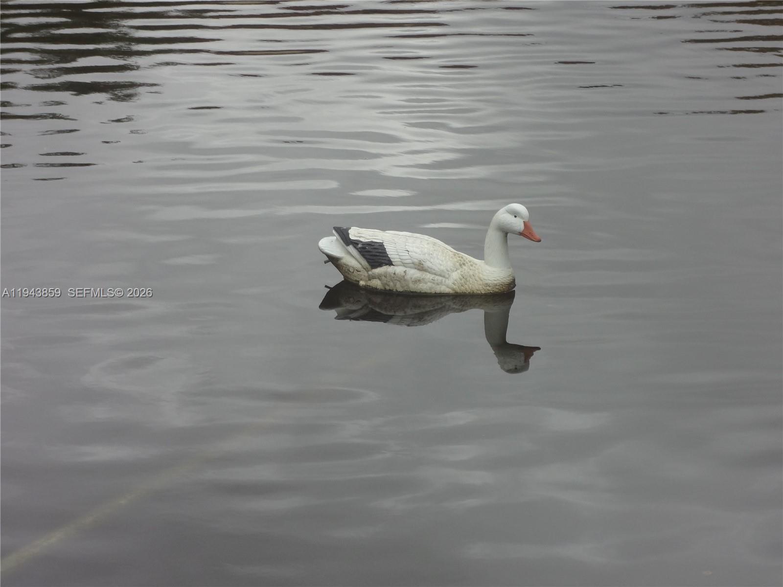 10125 W Sunrise Blvd # 104