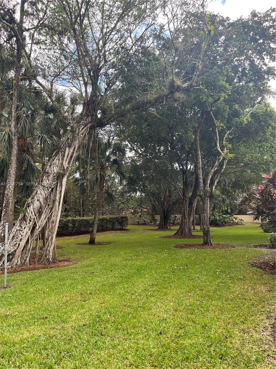 2531 NW 49th Ter # 711