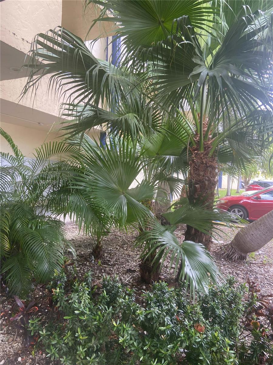 4550 NW 9th St # 203E