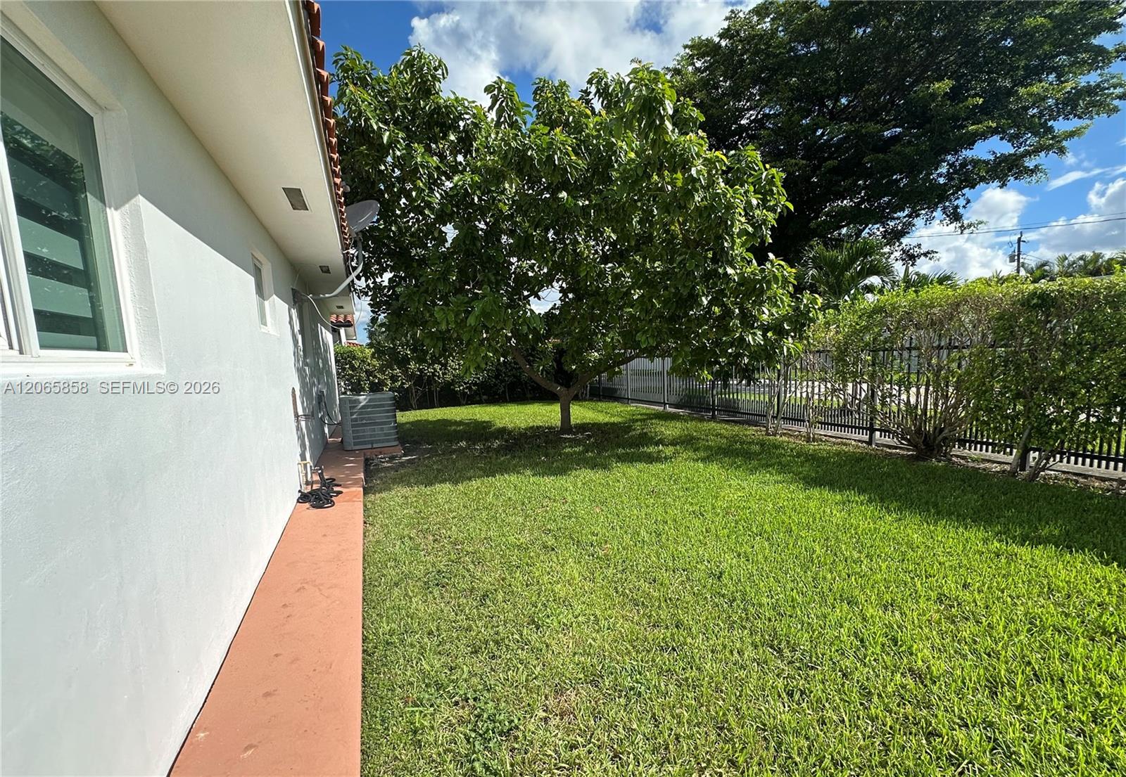 Side yard with a broad shade tree, green lawn, and hedge-lined fence beside a white stucco house.