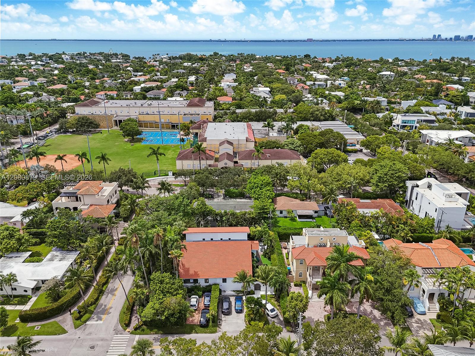 Aerial view over palm-lined homes, with a bay and distant skyline on the horizon.