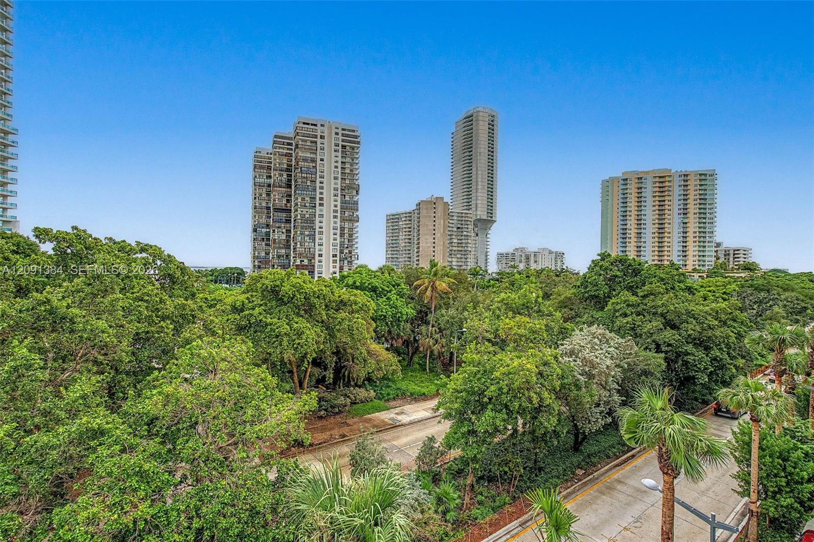 Tropical tree canopy and palm-lined streets below Miami high-rises under a clear blue sky.