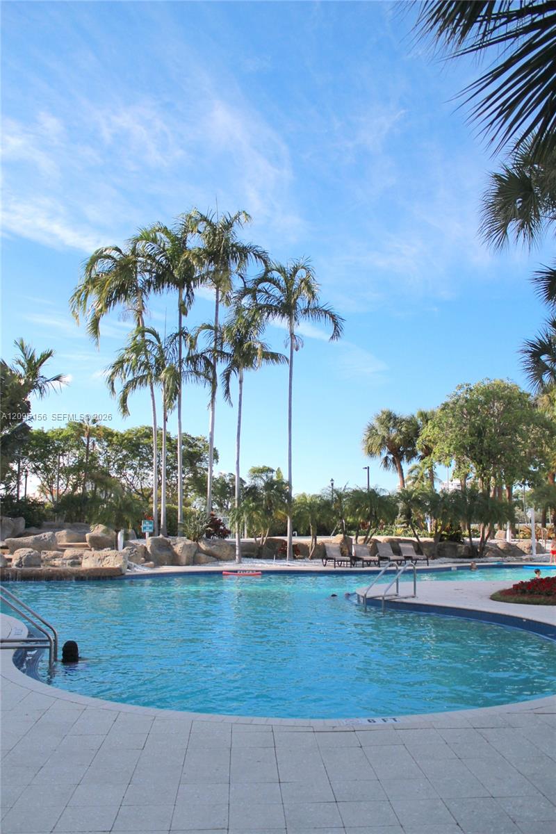 Outdoor pool with a curved deck, lounge chairs, and tall palm trees.