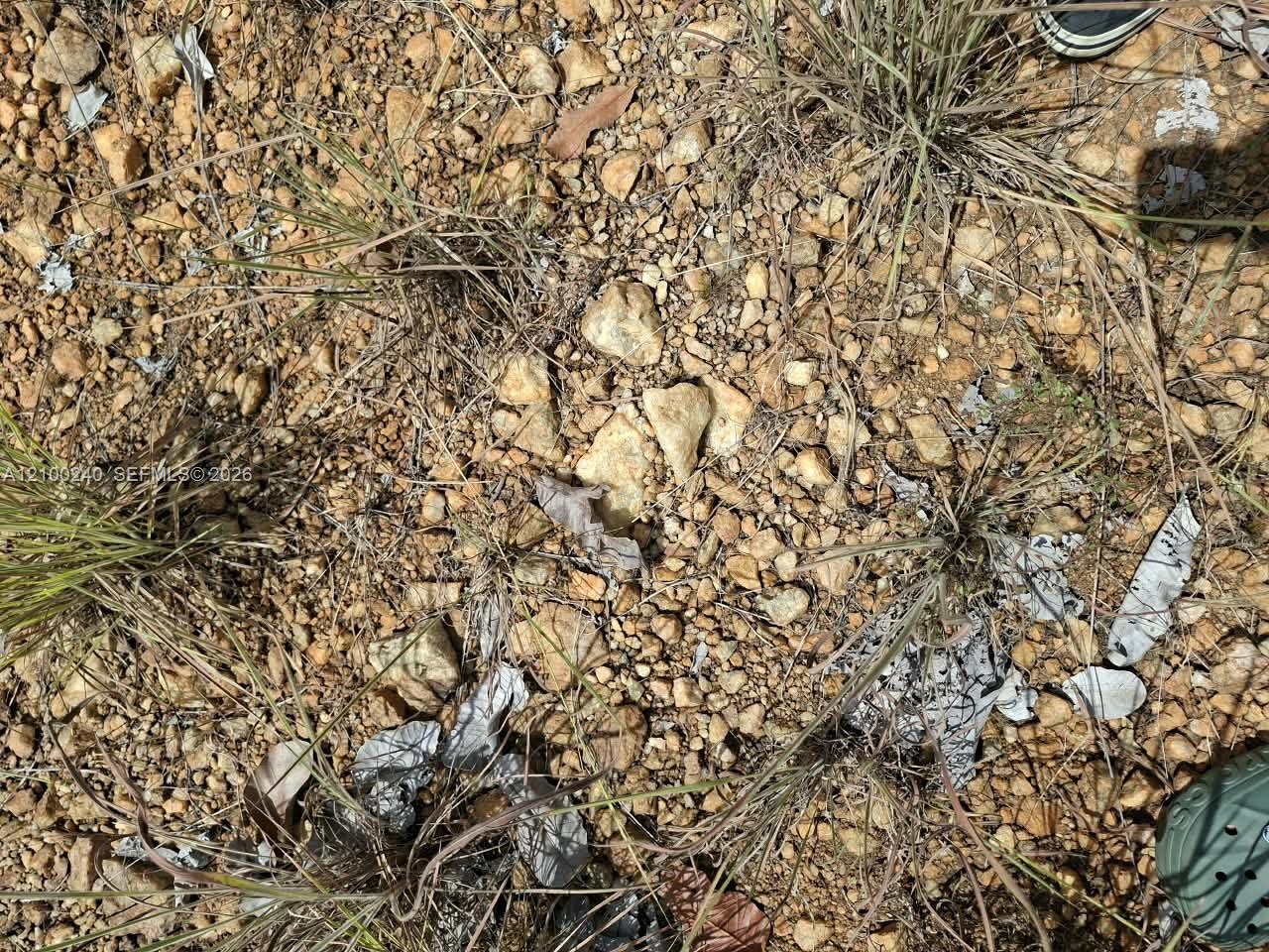 Rocky ground with dry grass and scattered debris.