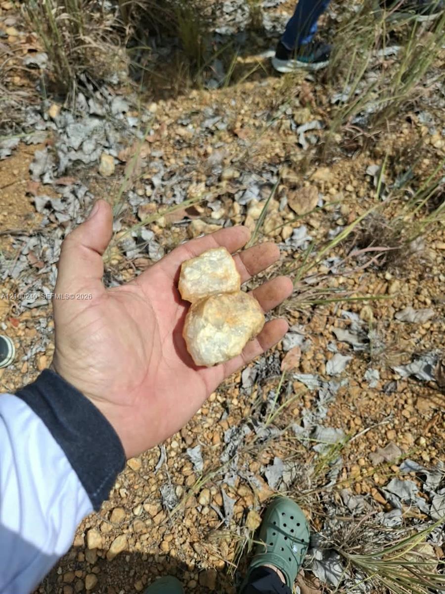A hand holds two pale stones over rocky, leaf-covered ground.