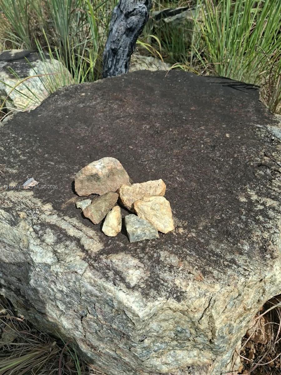 Large boulder topped with small rocks, surrounded by tall grasses.