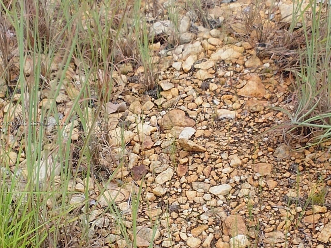Rocky property ground with tan stones and sparse grasses.