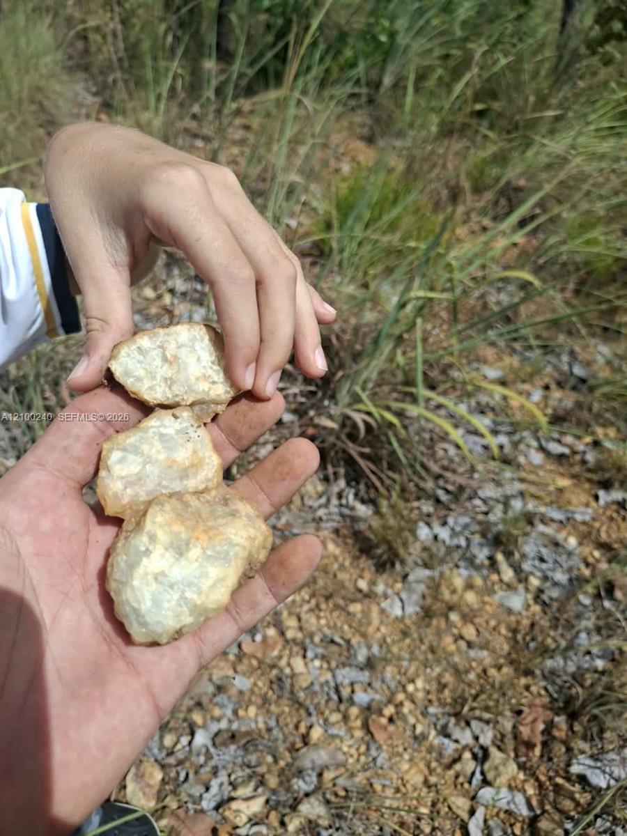Hands hold three pale rocks above rocky, grassy ground.