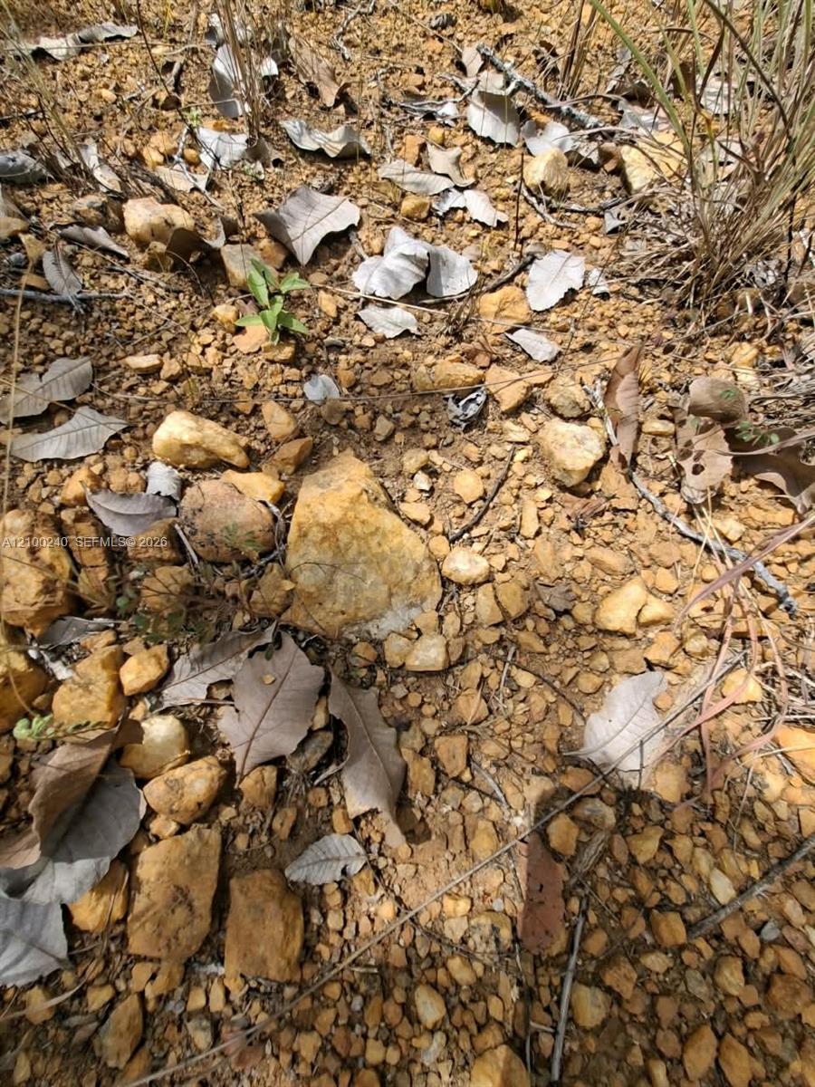 Rocky property ground with dry leaves, small stones, and sparse weeds.