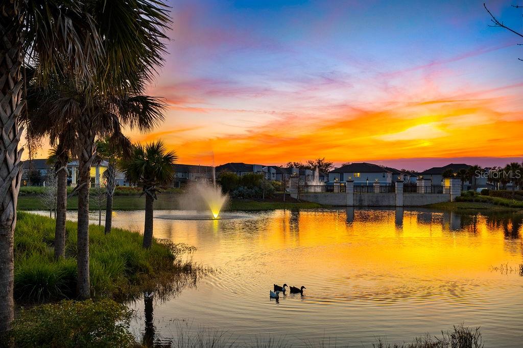 1312 BLUE STEM LN