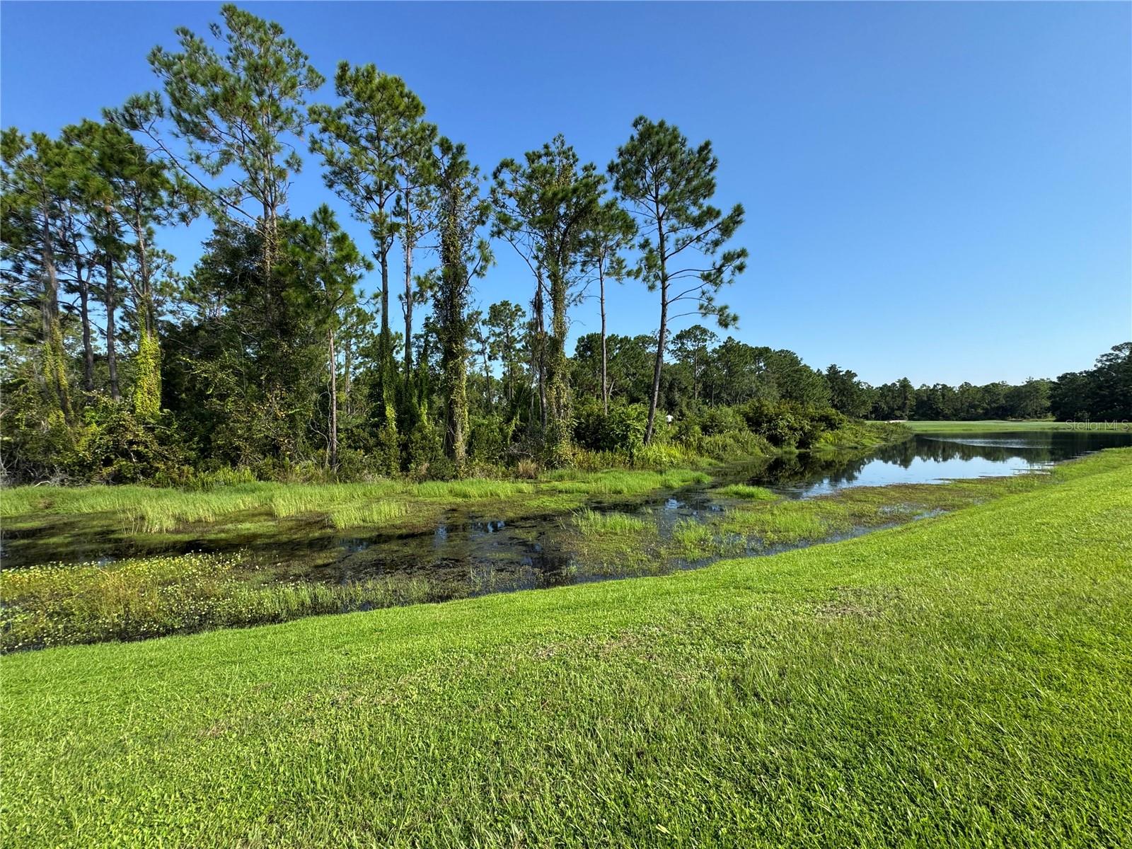 3113 LEGENDS PRESERVE DR