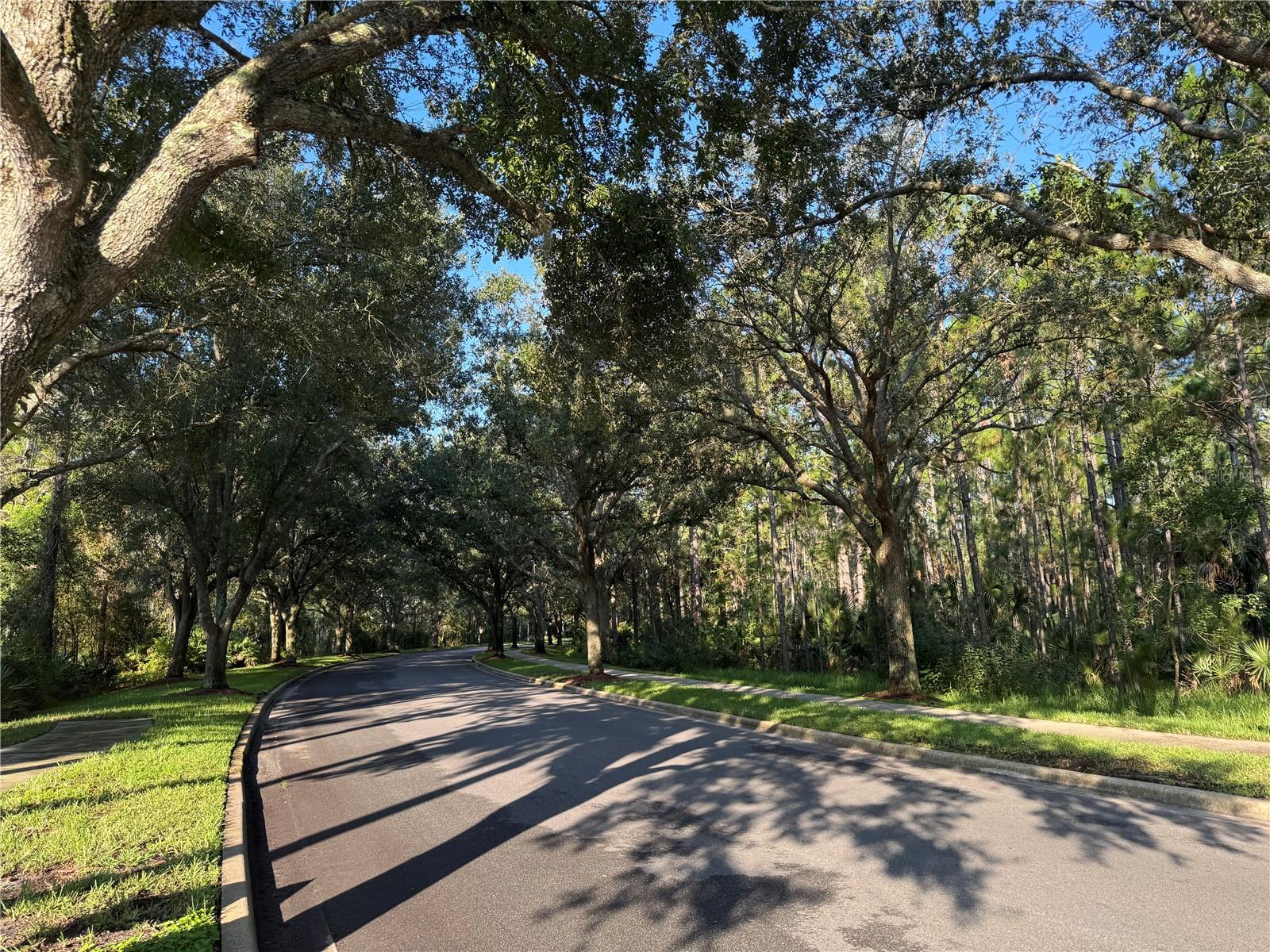 3113 LEGENDS PRESERVE DR