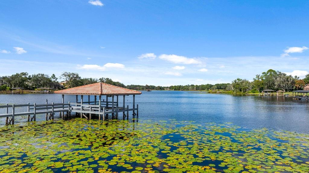 1965 LAKE MARKHAM PRESERVE TRL