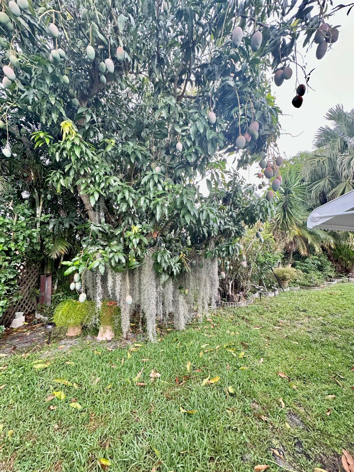 4711 NW 49th Place