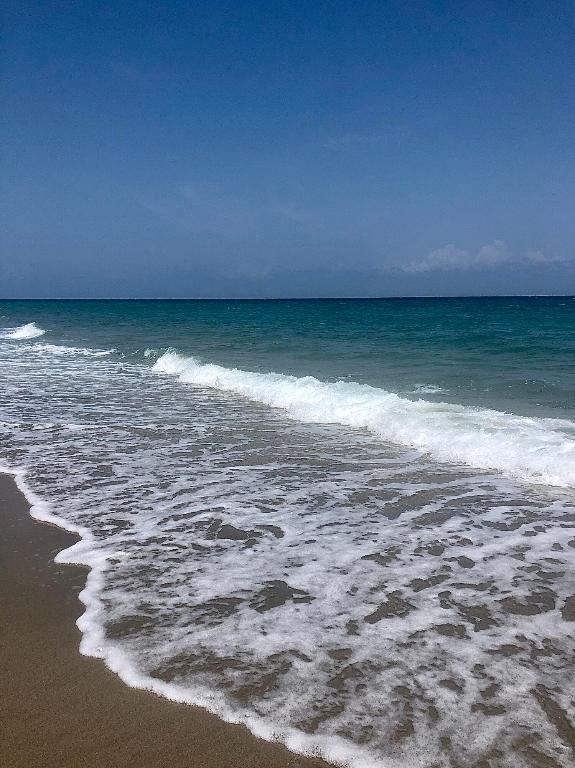 950 Ponce De Leon Road 4110