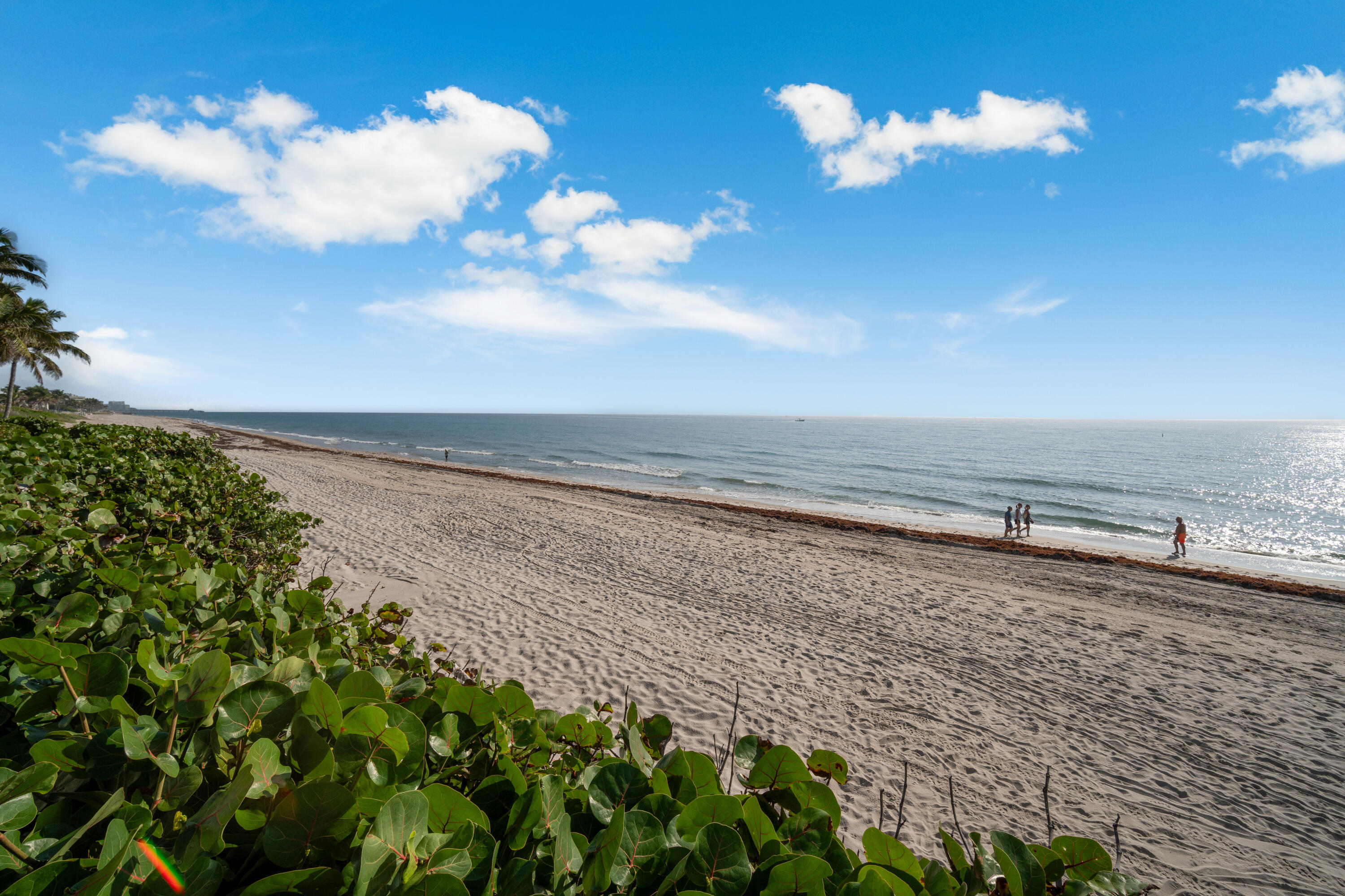 1169 Hillsboro Mile 803