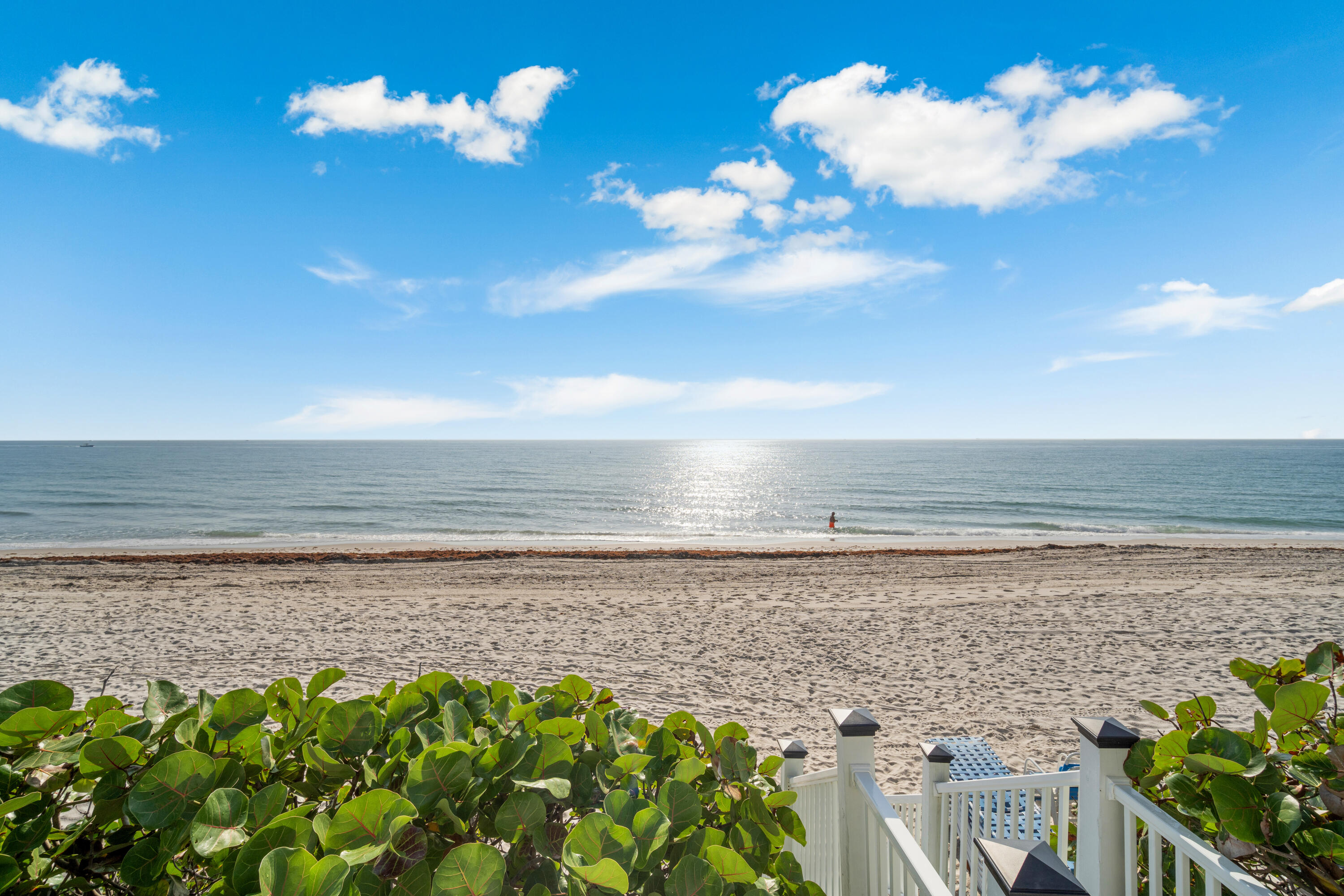 1169 Hillsboro Mile 803