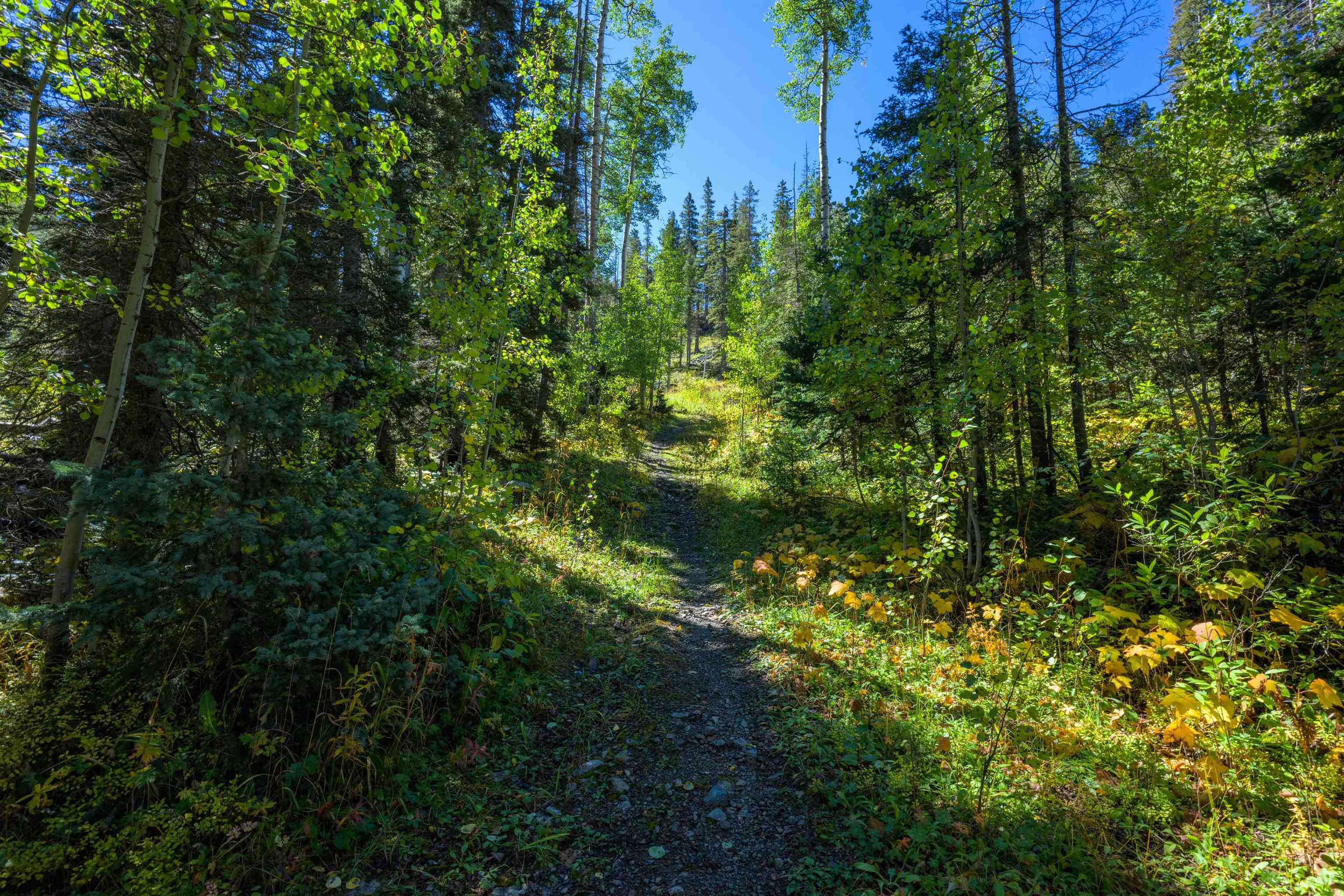 0 Twining Road