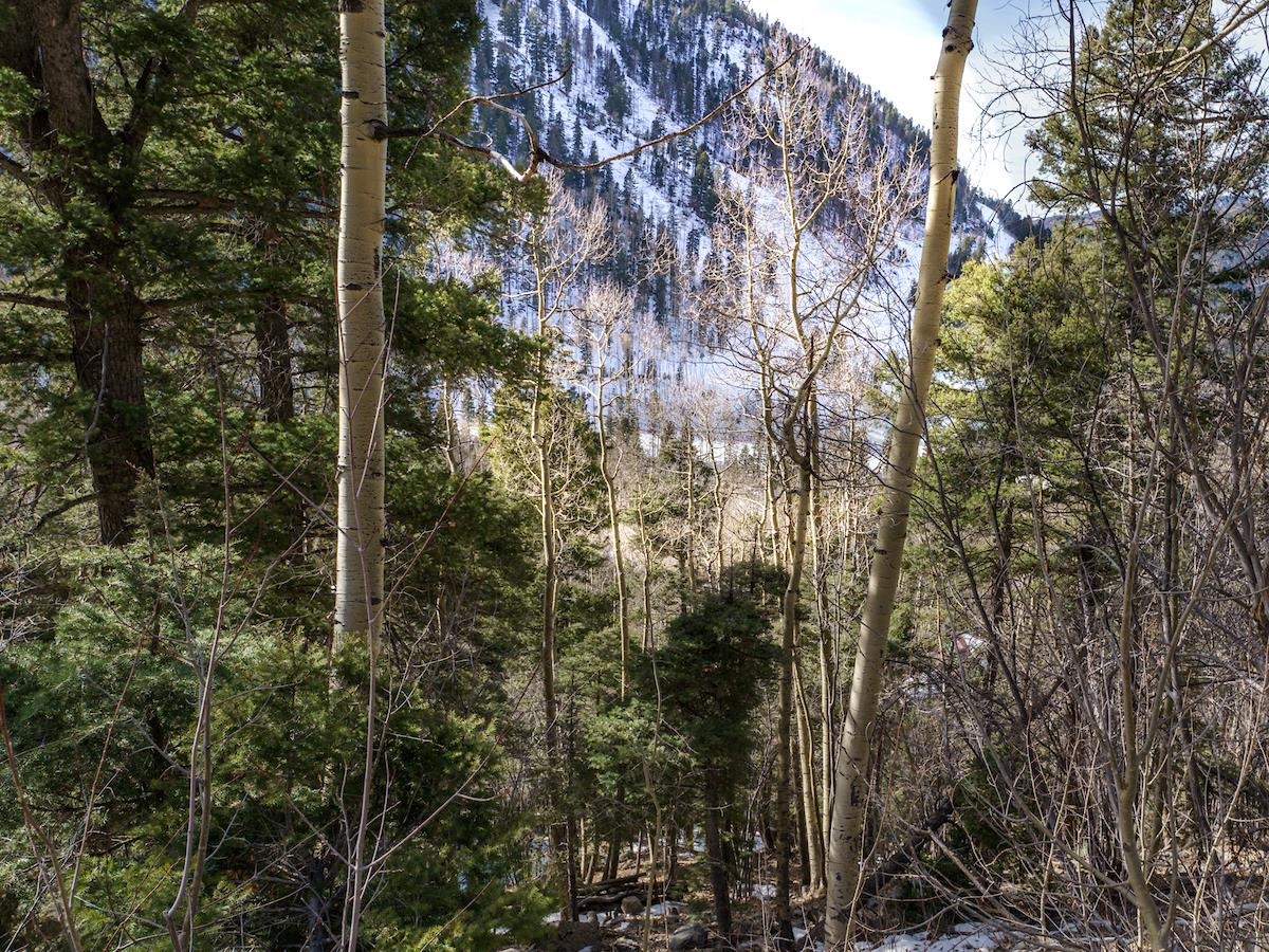 Lot 8 Coyote Lane