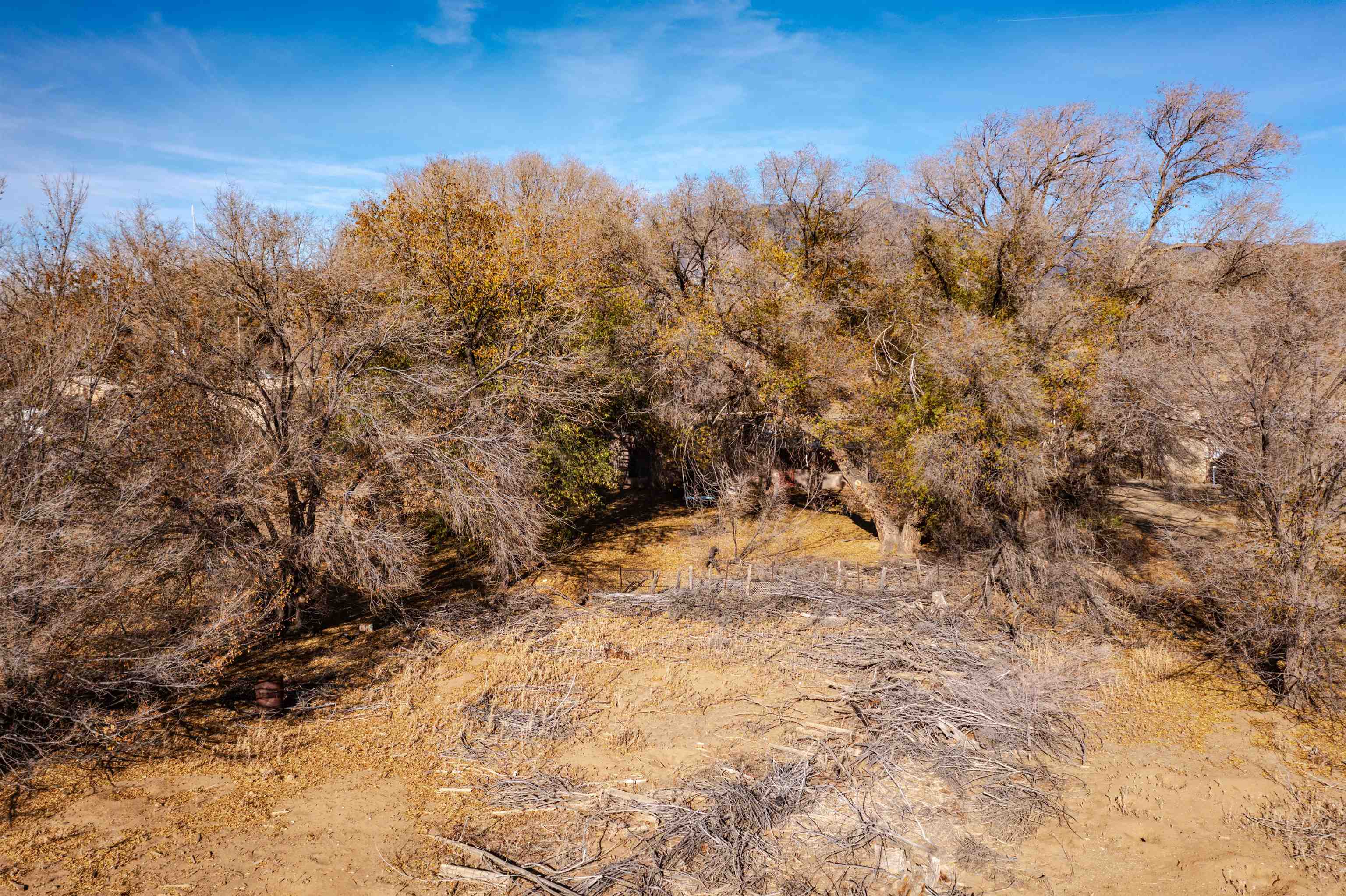 TBD Kit Carson Rd