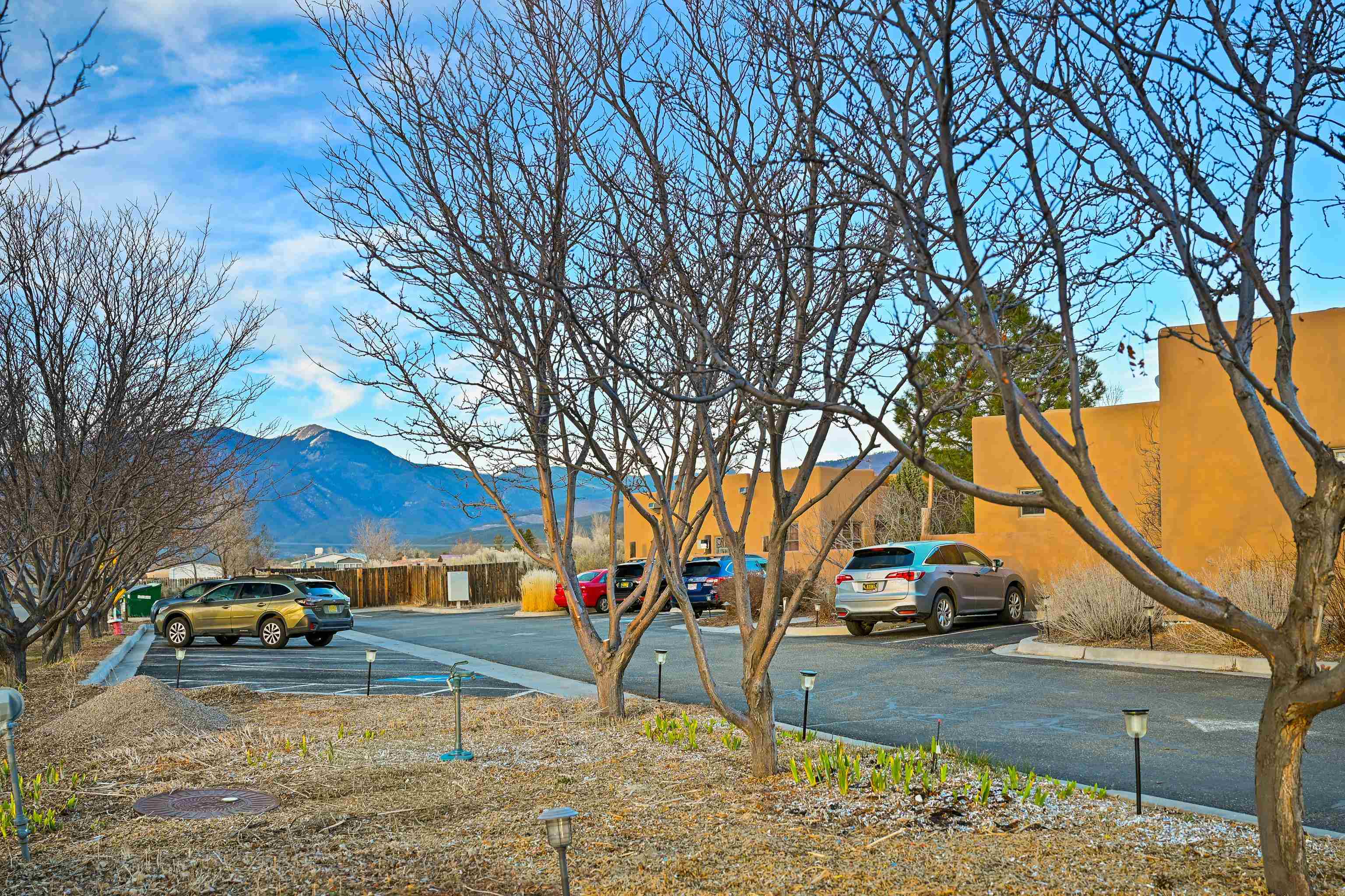 1040 Calle Palomita Unit: 11