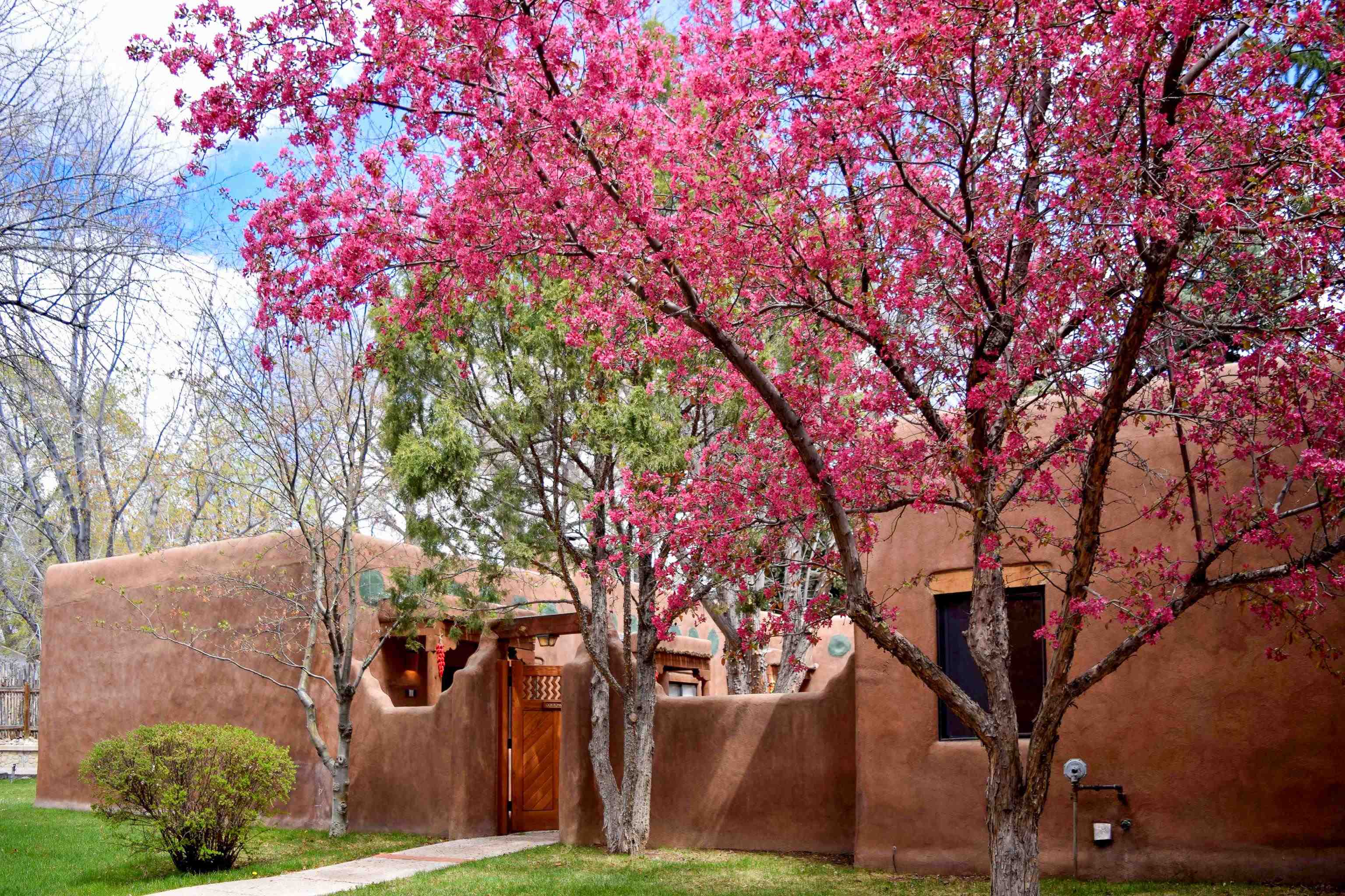 226 Kit Carson Rd Unit: Cottonwood 4