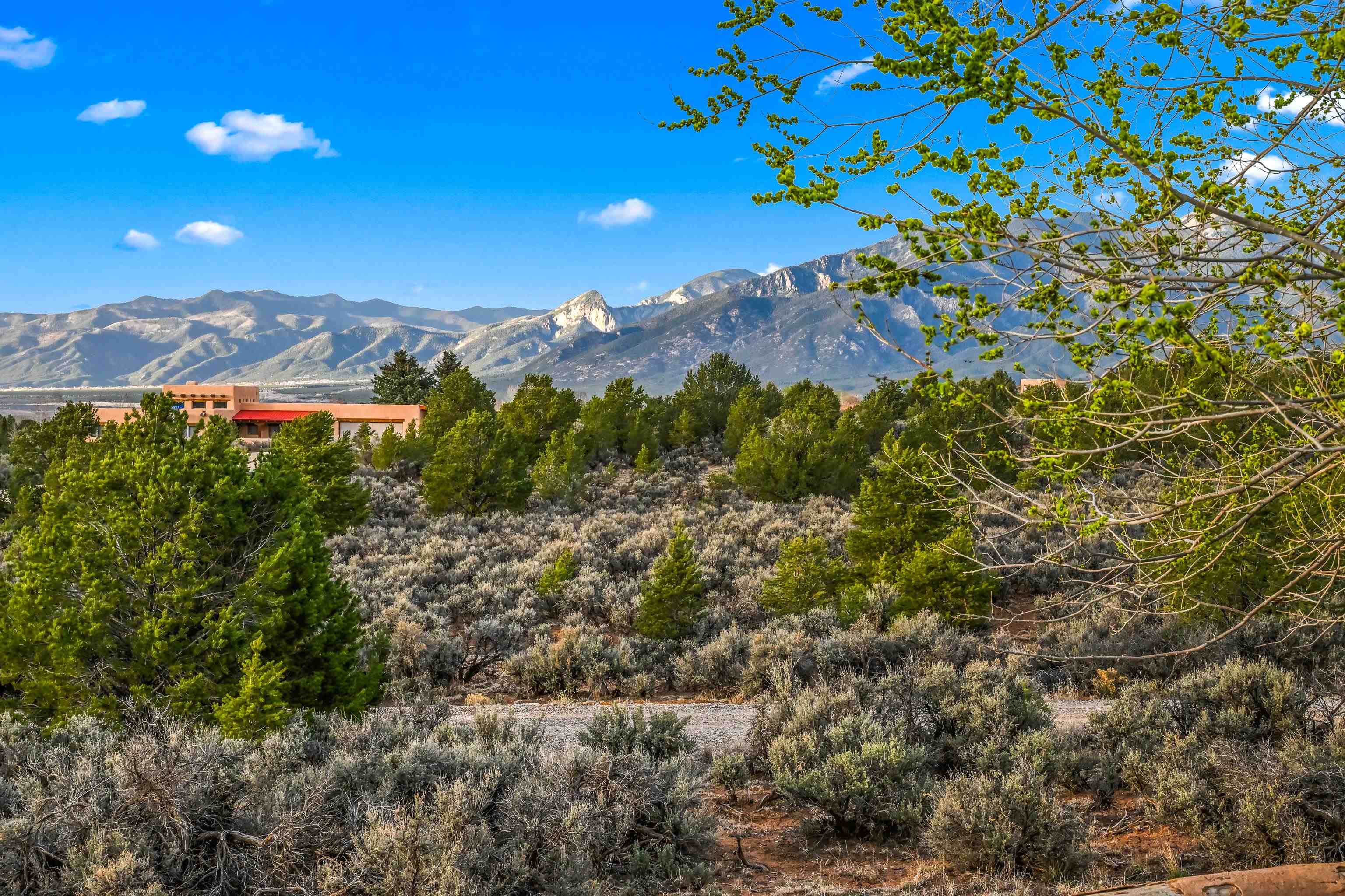 1479 Monterey Dr