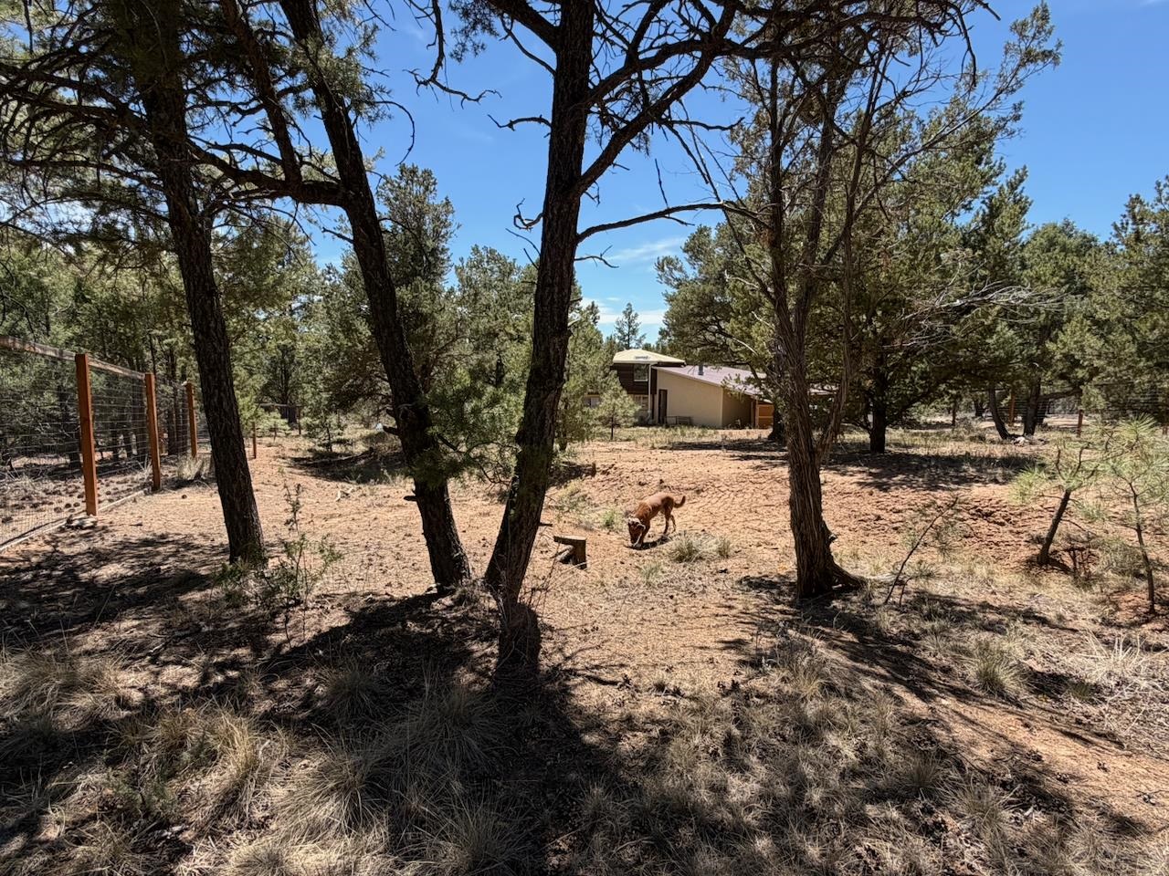 265 Gallina Canyon Road