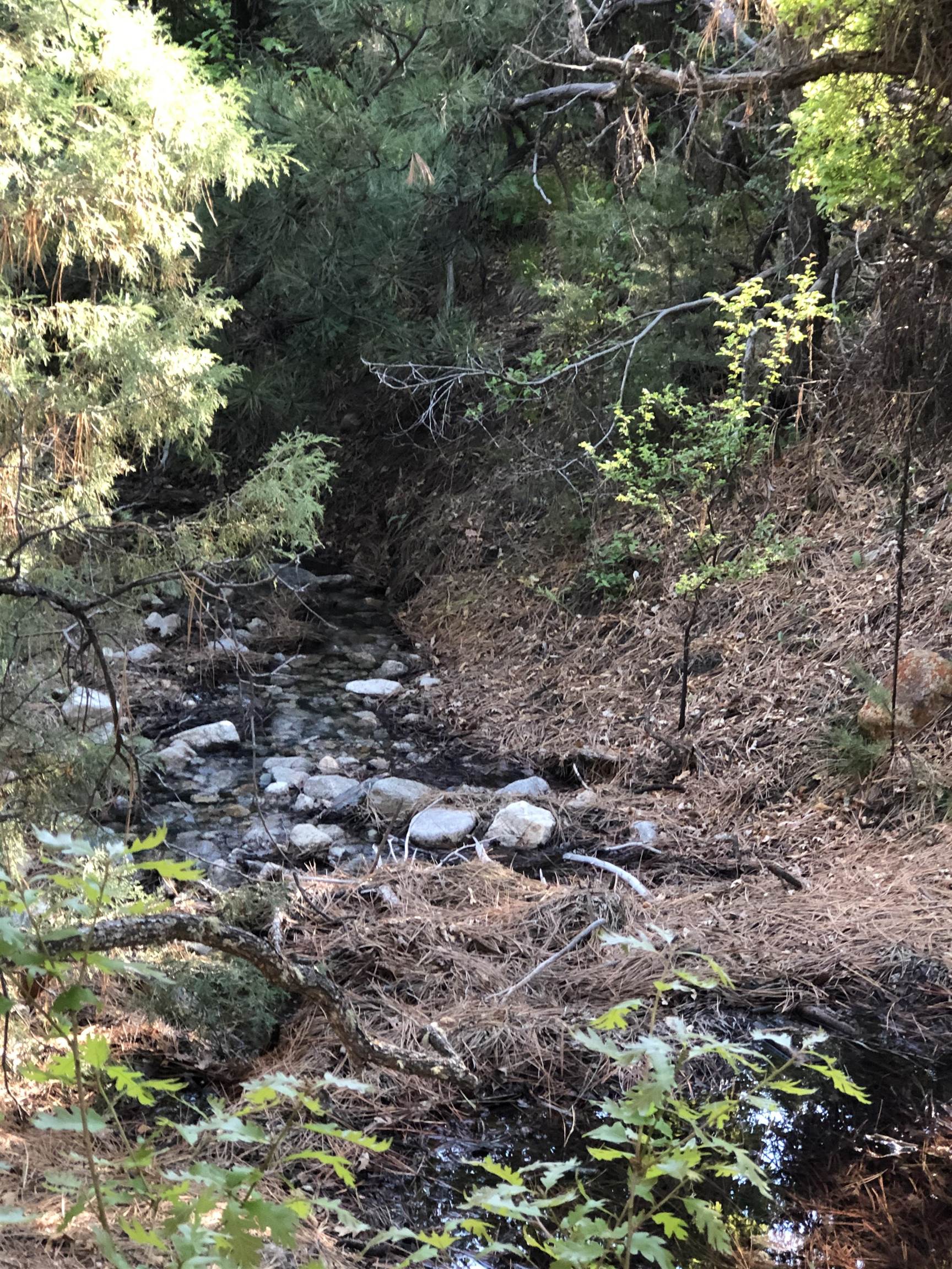 Tract B across 265 Gallina Canyon Rd