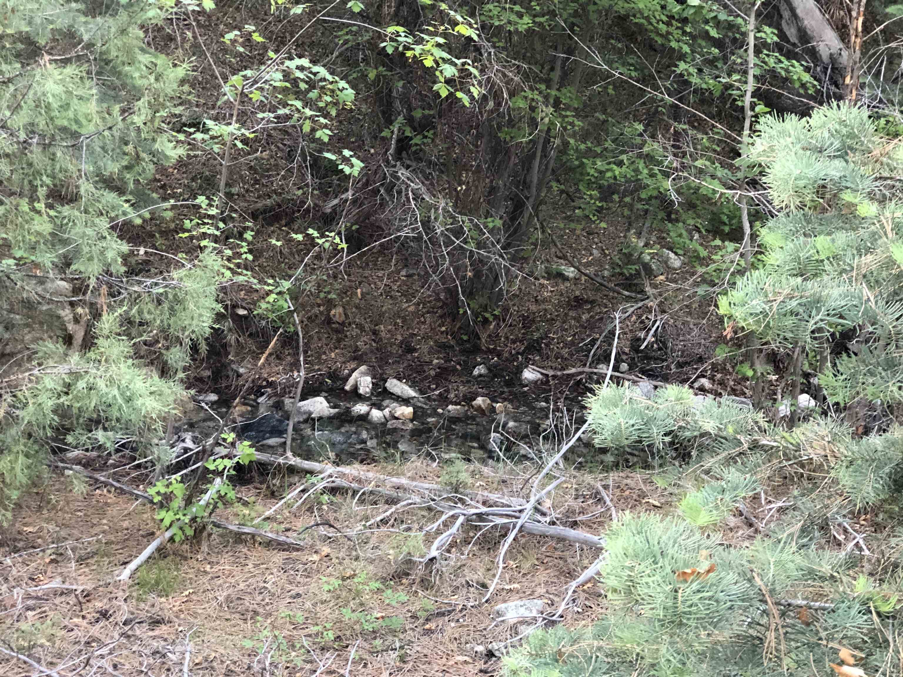 Tract B across 265 Gallina Canyon Rd