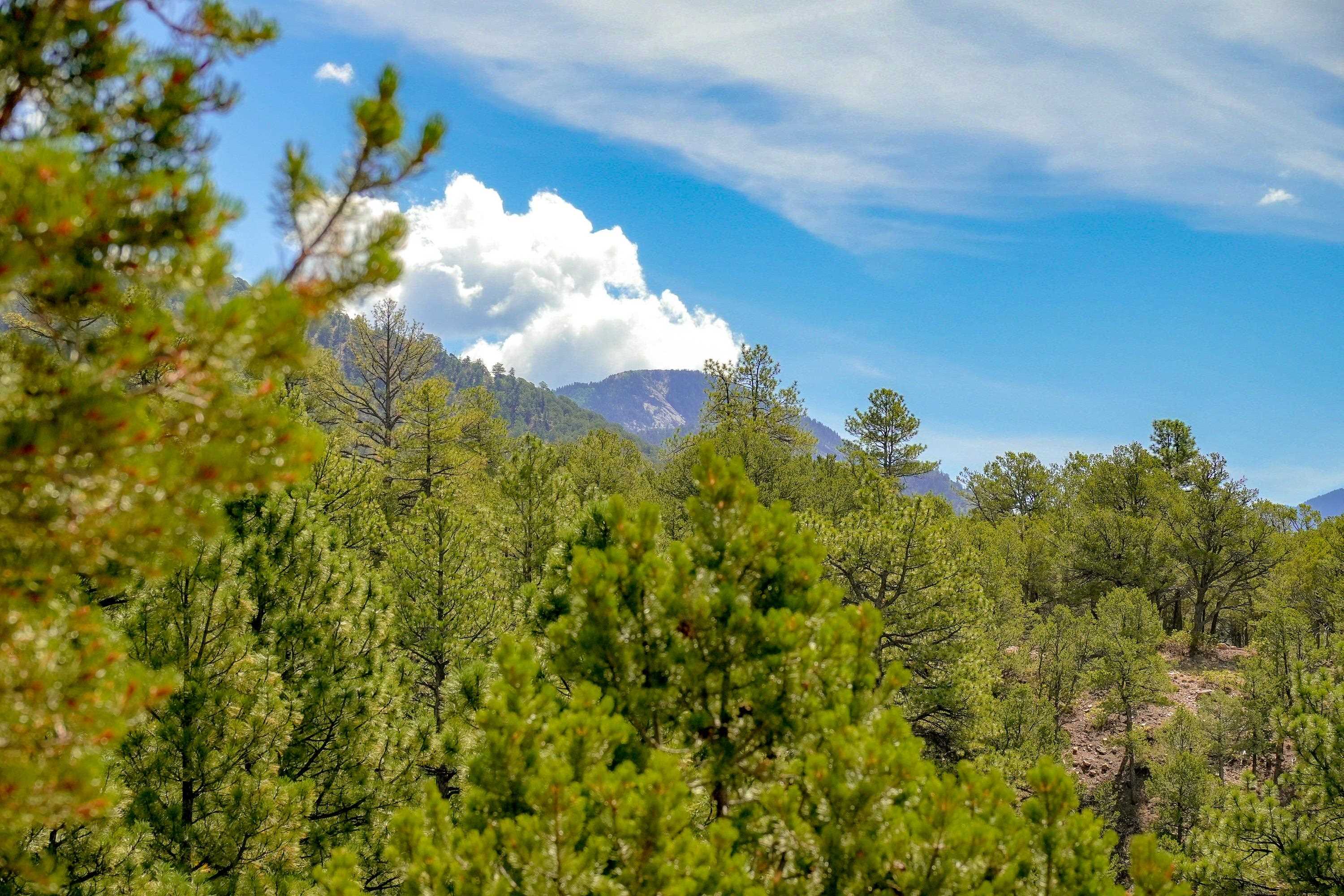 300 Gallina Canyon Road