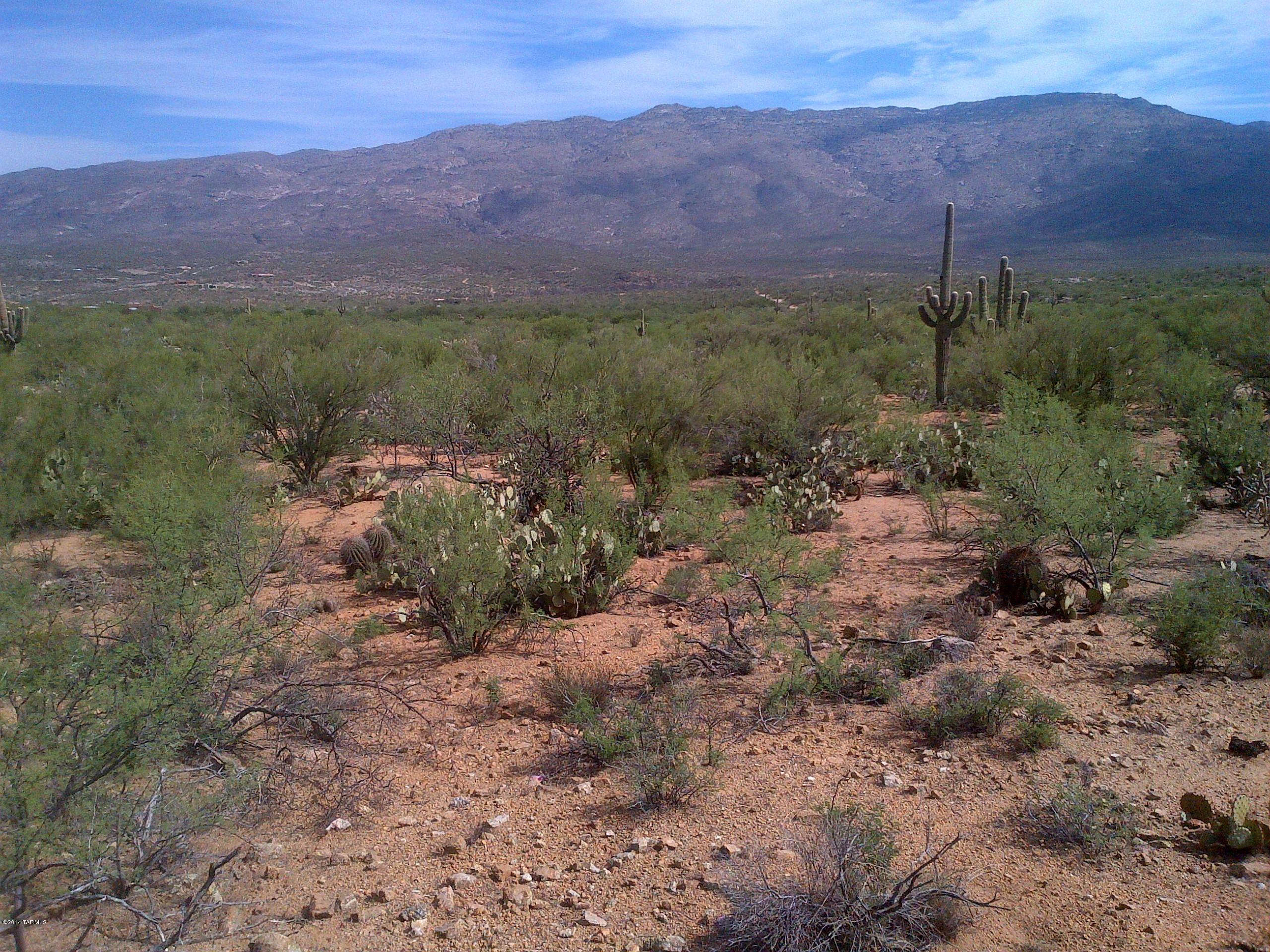 Rolling Tumbleweed Road