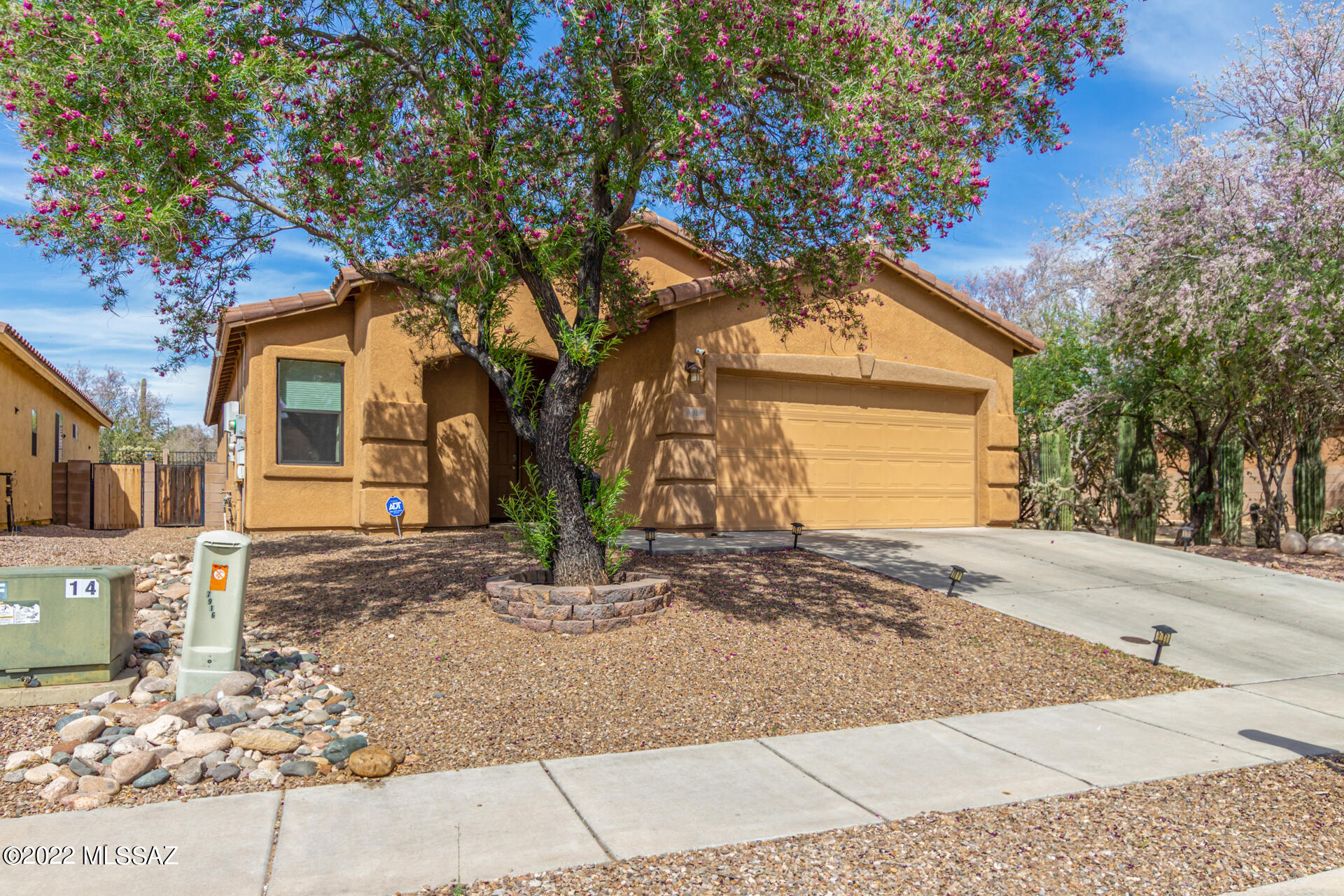 7916 N Chainfruit Cholla Drive
