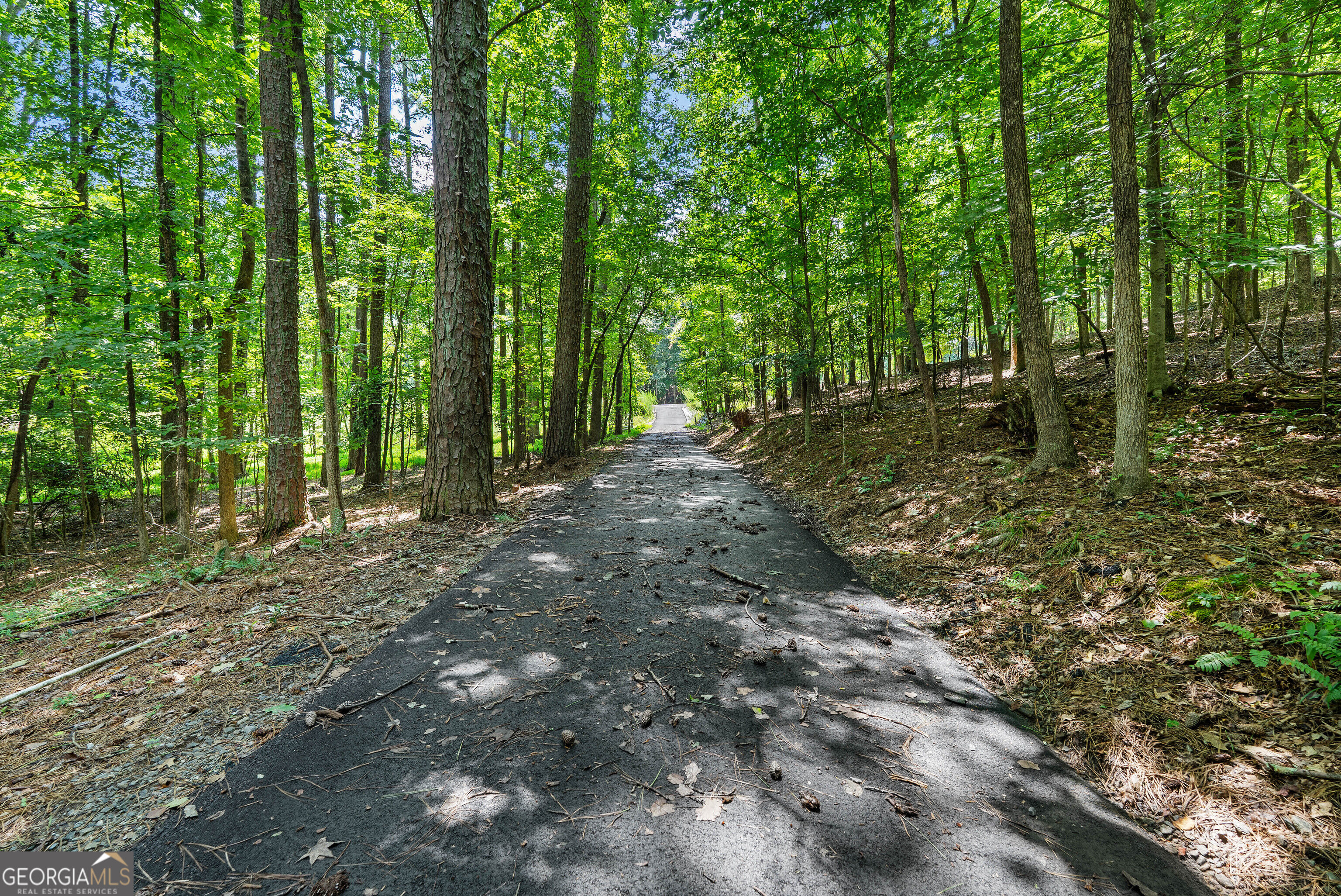 1860 Buford Dam Road