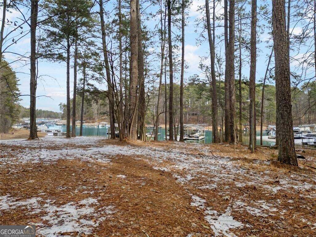 1860 Buford Dam Road