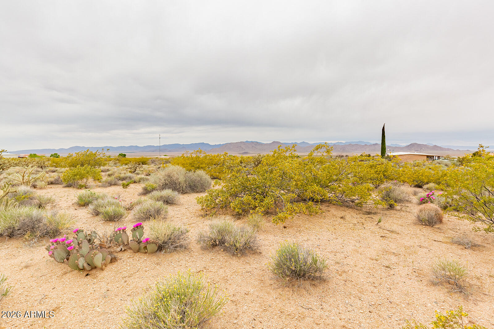 8699 N COCHISE Place 430